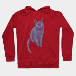 PolyCat Hoodie